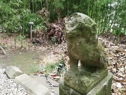 菊田神社の狛犬