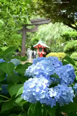 江島神社(神奈川県)