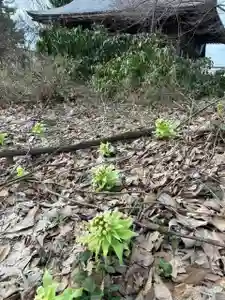 秋田諏訪宮(秋田県)(2024年03月31日(日) 17時47分09秒投稿)