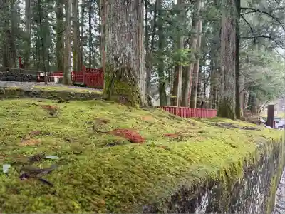 輪王寺(栃木県)
