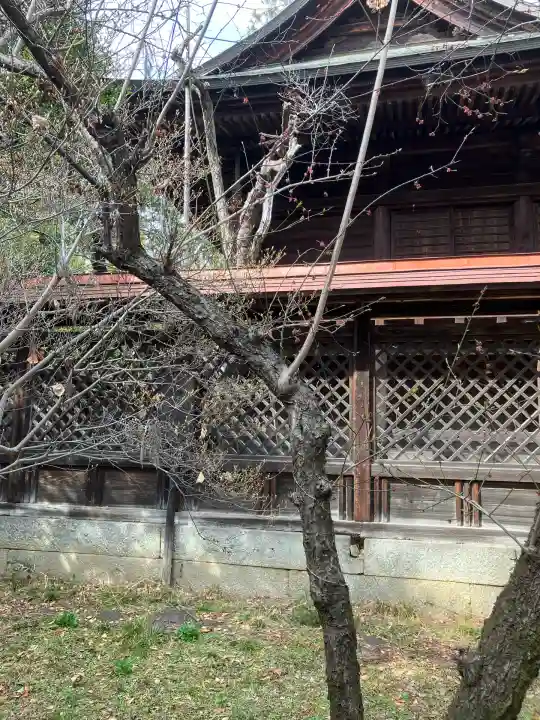 甲斐國一宮 浅間神社(山梨県)