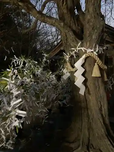 住吉神社の自然