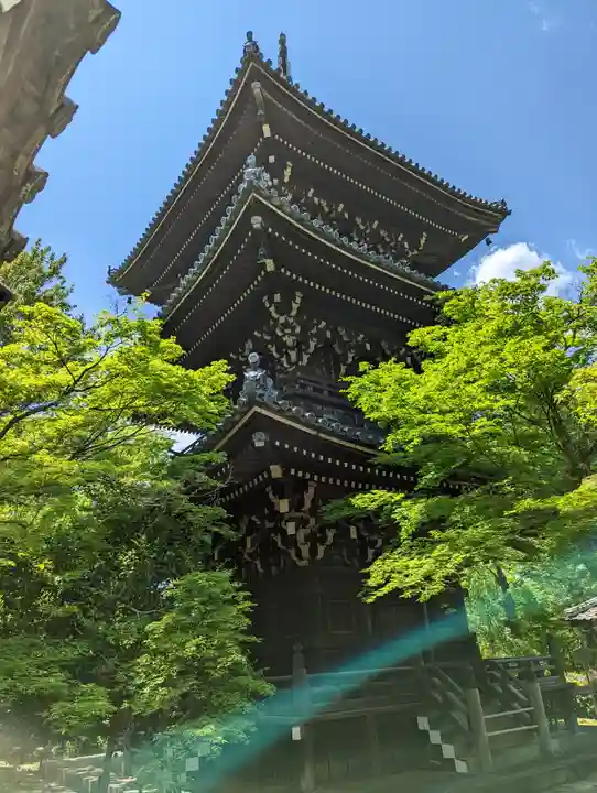 真正極楽寺(真如堂)(京都府)