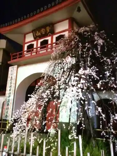 成願寺(東京都)