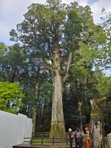 霧島神宮(鹿児島県)