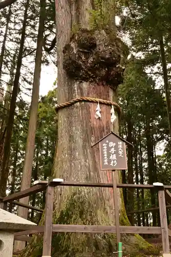 身延山奥之院思親閣(山梨県)