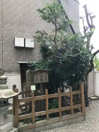 さいの木神社のその他建物