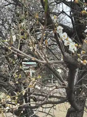 北野神社(東京都)
