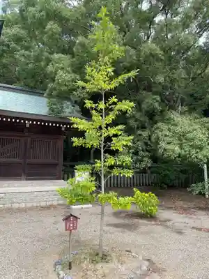 阿波神社(徳島県)