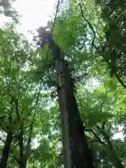 高瀧神社(千葉県)