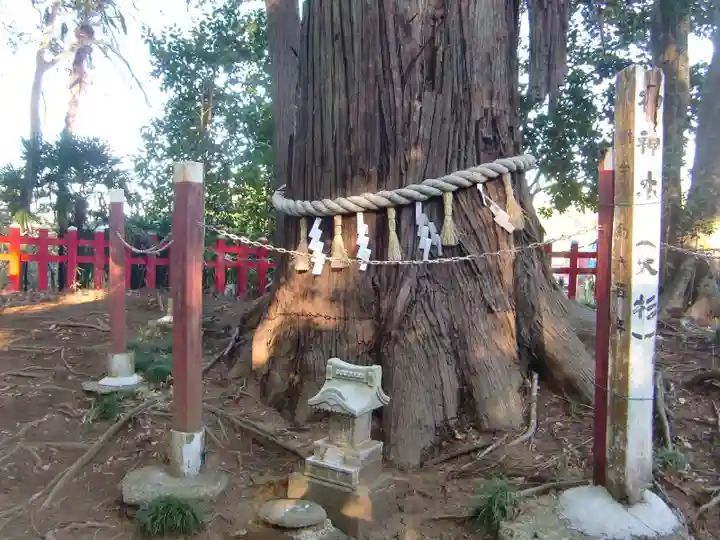 麻賀多神社奥宮の自然