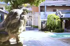 天神社の狛犬