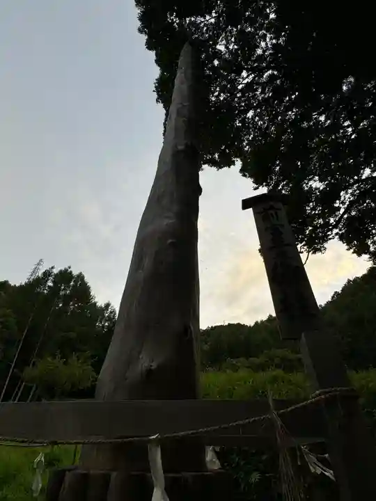 諏訪大社上社前宮(長野県)