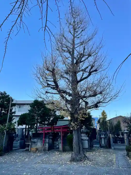 浄蓮寺(神奈川県)