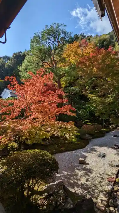 二尊院(京都府)