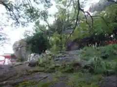 神倉神社（熊野速玉大社摂社）の自然