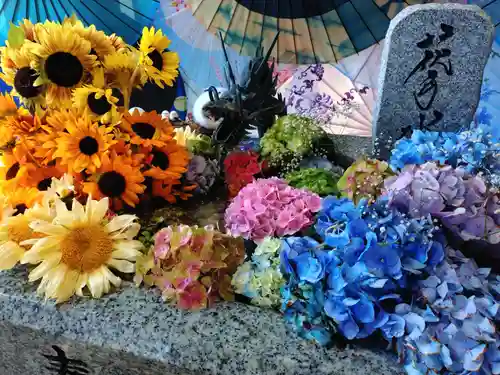 札幌諏訪神社の手水舎