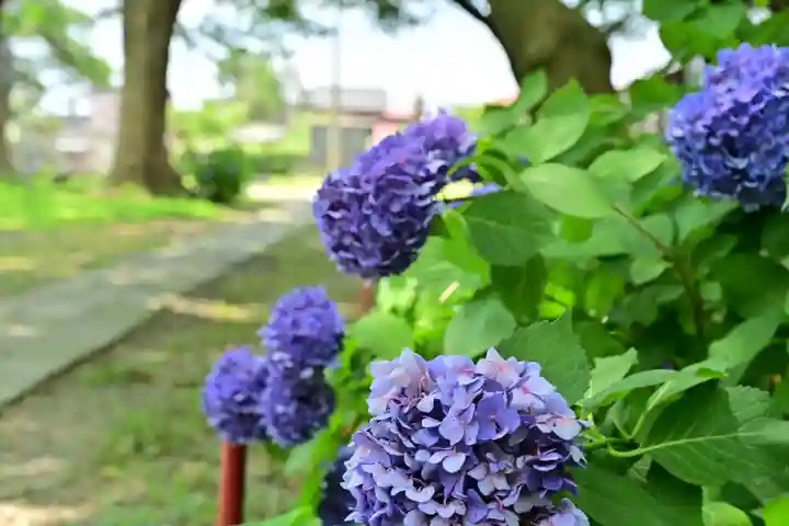 安禅寺(新潟県)