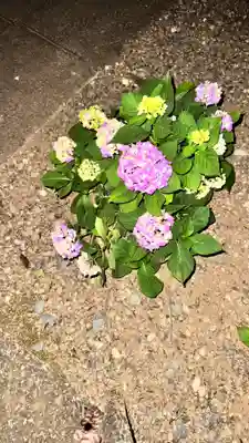 大善院(東京都)