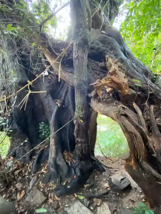 竹生島神社(都久夫須麻神社)(滋賀県)