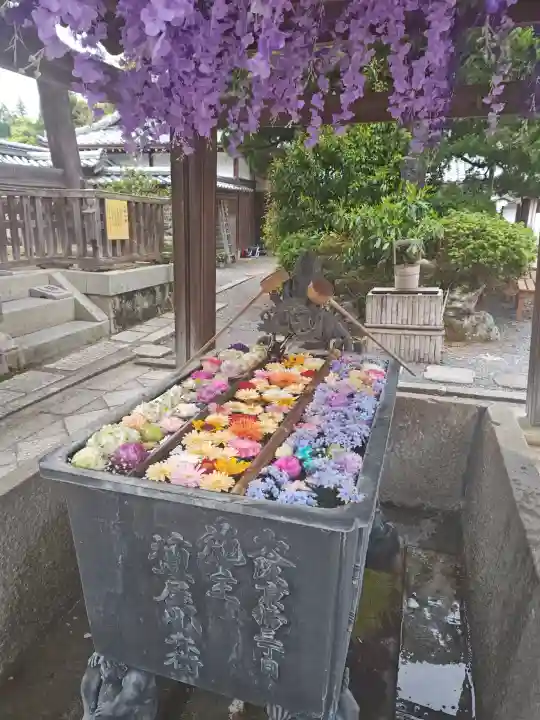 柳谷観音 楊谷寺の{uncategorized: "未分類", other: "その他", undefined: "問題あり", building: "その他建物", grave: "お墓", sacred_gate: "鳥居", guardian: "狛犬", statue: "像", buddha: "仏像", history: "歴史", nature: "自然", garden: "庭園", animal: "動物", pagoda: "塔", temizu: "手水舎", mountain_gate: "山門・神門", sanctuary: "本殿・本堂", subordinate: "末社・摂社", art: "芸術", scenery: "景色", jizo: "地蔵", ema: "絵馬", goshuin: "御朱印", omikuji: "おみくじ", items: "授与品その他", amulet: "お守り", goshuincho: "御朱印帳", eats: "食事", festival: "お祭り", votive_dance: "神楽", shichigosan: "七五三参", wedding: "結婚式", experience: "体験その他", initially: "初詣", around: "周辺", anti_infection: "感染症対策"}
