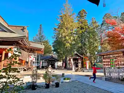 寒河江八幡宮(山形県)