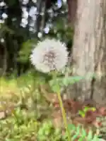 大宮温泉神社(栃木県)