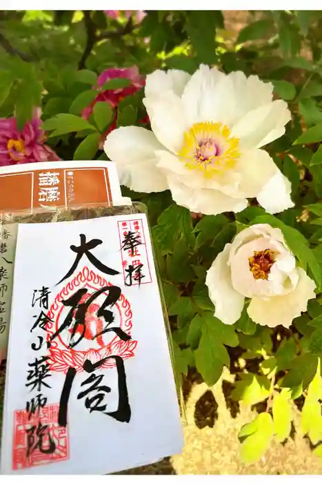 薬師院の御朱印