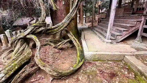 千磐神社(岡山県)