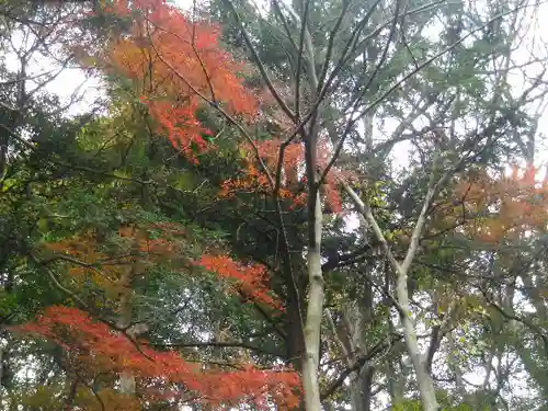 理智光寺跡（理智光寺址）＜史跡＞の景色