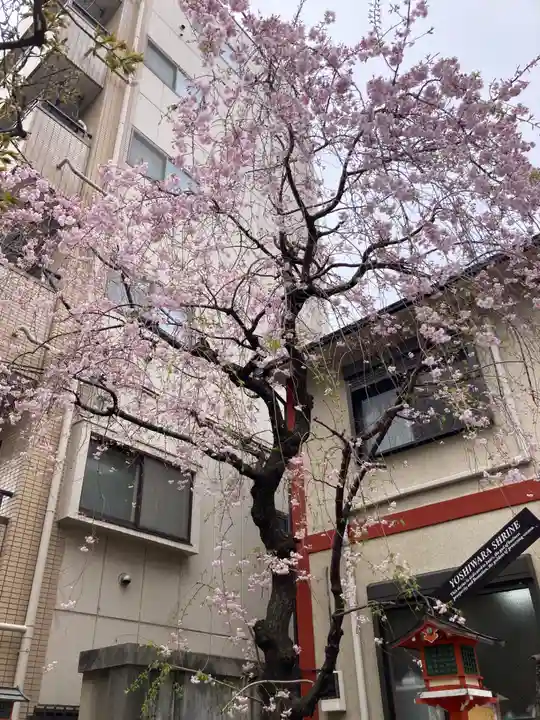 吉原神社(東京都)