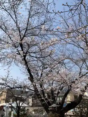 墨染寺（桜寺）(京都府)