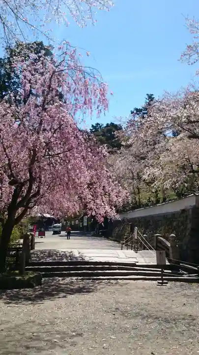 園城寺(三井寺)の庭園