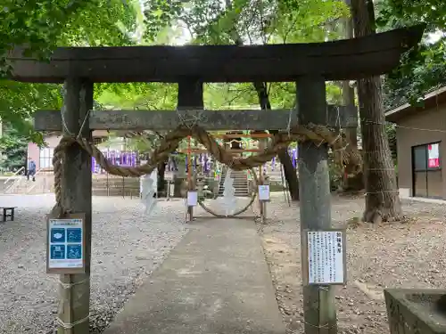 下野 星宮神社の鳥居