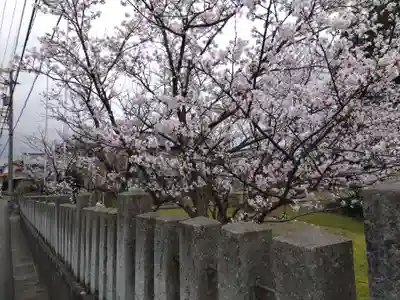日吉神社(福井県)