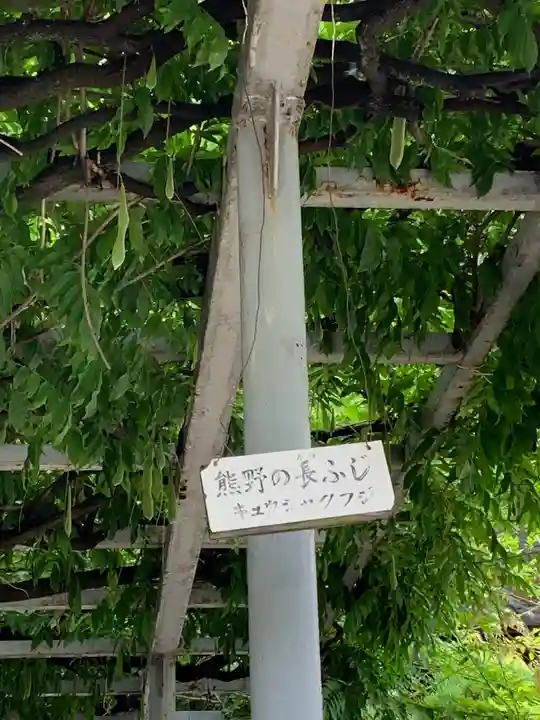 難波熊野神社の自然