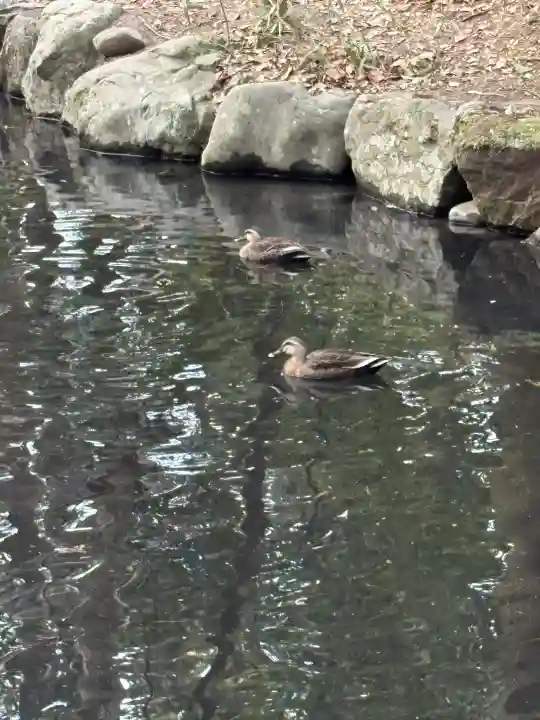 宮崎神宮の{uncategorized: "未分類", other: "その他", undefined: "問題あり", building: "その他建物", grave: "お墓", sacred_gate: "鳥居", guardian: "狛犬", statue: "像", buddha: "仏像", history: "歴史", nature: "自然", garden: "庭園", animal: "動物", pagoda: "塔", temizu: "手水舎", mountain_gate: "山門・神門", sanctuary: "本殿・本堂", subordinate: "末社・摂社", art: "芸術", scenery: "景色", jizo: "地蔵", ema: "絵馬", goshuin: "御朱印", omikuji: "おみくじ", items: "授与品その他", amulet: "お守り", goshuincho: "御朱印帳", eats: "食事", festival: "お祭り", votive_dance: "神楽", shichigosan: "七五三参", wedding: "結婚式", experience: "体験その他", initially: "初詣", around: "周辺", anti_infection: "感染症対策"}