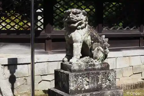 伊居太神社の狛犬