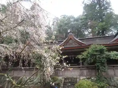 吉野水分神社(吉野町)の本殿・本堂