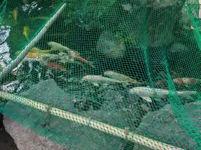 龍眼寺(萩寺)(東京都)