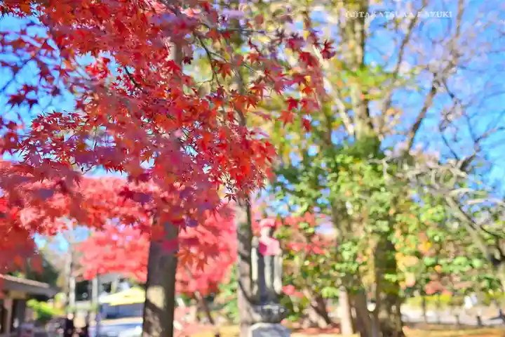 鑁阿寺(栃木県)