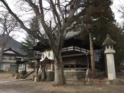 妻科神社の本殿・本堂