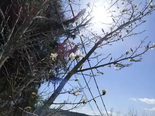 留辺蘂神社の自然