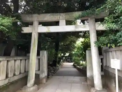 渋谷氷川神社の鳥居