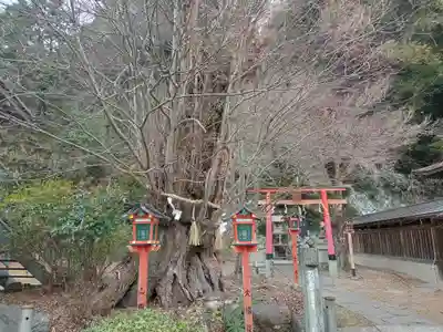 長等神社(滋賀県)