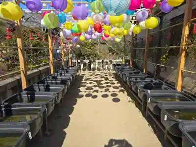 おふさ観音（観音寺）(奈良県)