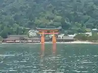 厳島神社の鳥居