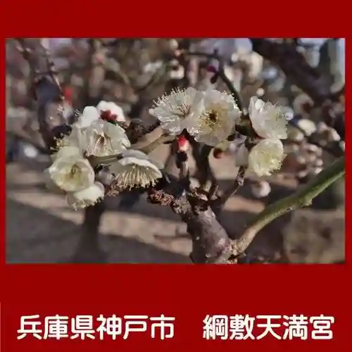 綱敷天満宮(兵庫県)
