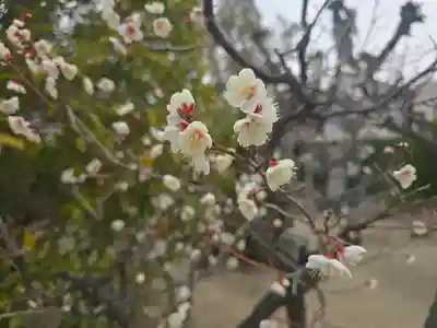 大阿弥陀経寺(大阪府)