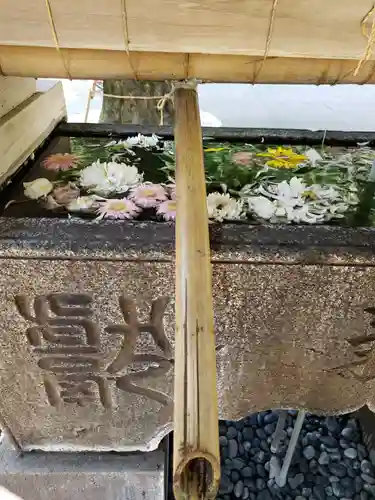 鳩森八幡神社の手水舎